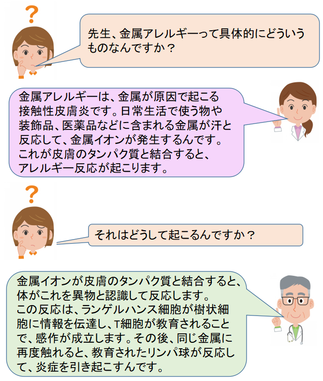患者:先生、金属アレルギーって具体的にどういうものなんですか？ドクター:金属アレルギーは、金属が原因で起こる接触性皮膚炎です。日常生活で使う物や装飾品、医薬品などに含まれる金属が汗と反応して、金属イオンが発生するんです。これが皮膚のタンパク質と結合すると、アレルギー反応が起こります。患者:それはどうして起こるんですか？ドクター:金属イオンが皮膚のタンパク質と結合すると、体がこれを異物と認識して反応します。この反応は、ランゲルハンス細胞が樹状細胞に情報を伝達し、T細胞が教育されることで、感作が成立します。その後、同じ金属に再度触れると、教育されたリンパ球が反応して、炎症を引き起こすんです。患者:そうすると、皮膚にどんな症状が出るんですか？ドクター:主に湿疹や皮膚炎が発生します。接触部位が赤くなったり、かゆみや腫れが出ることがあります。患者:金属アレルギーを確認する方法はありますか？ドクター:はい、金属アレルギーパッチテストという検査があります。これは、特定の金属に対する皮膚の反応を調べる検査です。これによって、どの金属がアレルギーの原因かを特定できます。