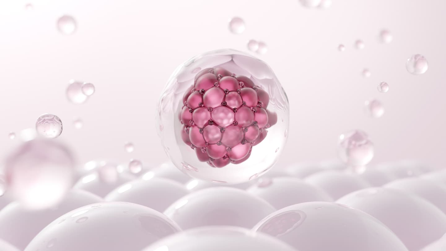 エクソソームのイメージ