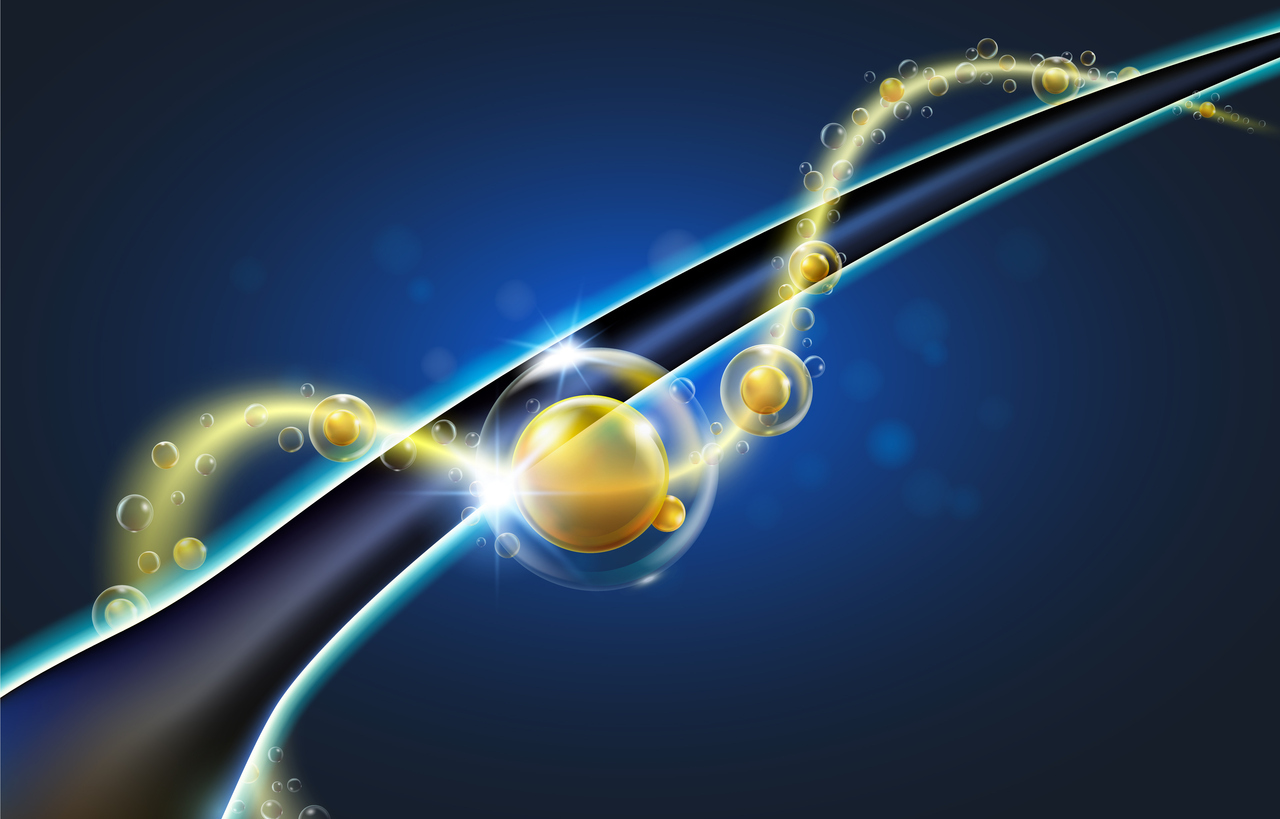 栄養を受ける毛髪