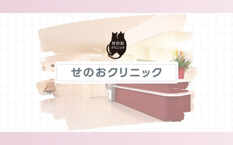 【せのおクリニック】ジェントルマックスプロの顔脱毛でくすみ解消にも期待